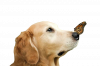 krasivye_fotografii_na_raznye_temy_52_foto_18.png