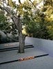 a06e5122526fea66006d1307c79b973f-most-beautiful-gardens-magnolia-trees.jpg