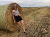 zebra-top.jpeg