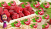 upload_2022-12-26_2-49-1.png