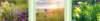 2024-02-17_08-25-33.png