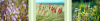 2024-02-17_08-25-46.png