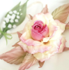 2024-02-20_073953.png
