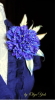 2024-02-20_074028.png