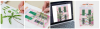 upload_2024-2-29_12-11-39.png