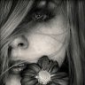 Daydream