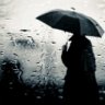 black_parasol