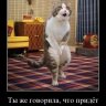 gektorcat