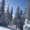 Obraztcova