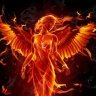 Fenixbird