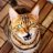 Simeow