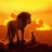 Lionleks