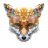 Foxes23